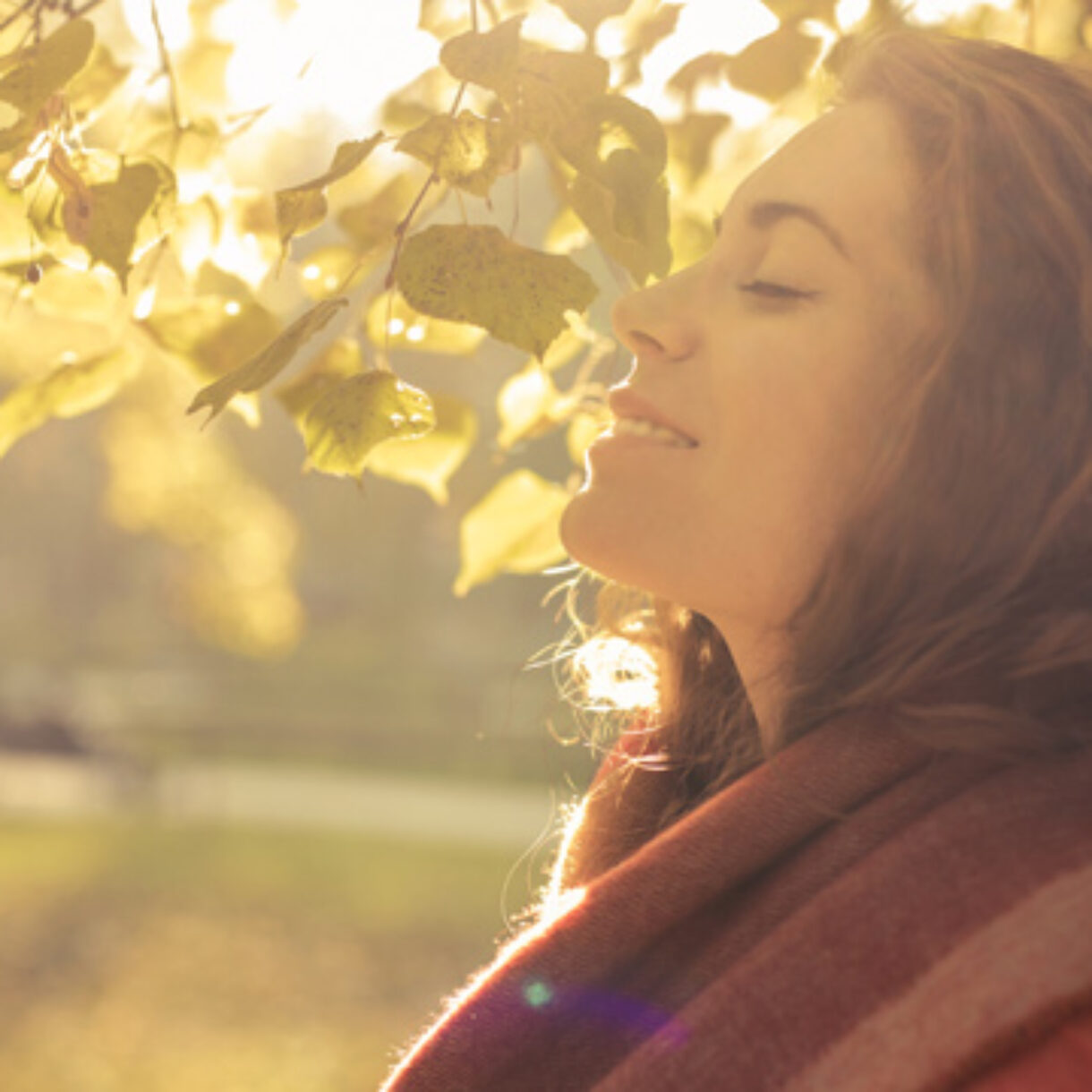 mental-health-services